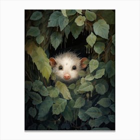 Adorable Chubby Hidden Possum 3 Canvas Print