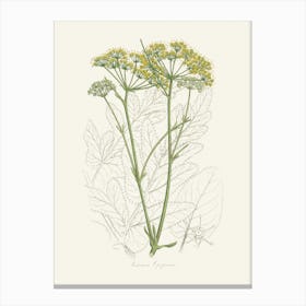 Vintage Botanical John Stephenson and James Morss Churchill Art Print_2731684 Canvas Print