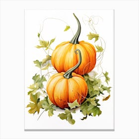 Jarrahdale Pumpkin Watercolour Illustration 4 Canvas Print