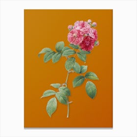 Vintage Seven Sisters Roses Botanical on Sunset Orange n.0580 Canvas Print
