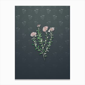 Vintage Dr. Gills Selago Flower Botanical on Slate Gray Pattern n.0532 Canvas Print