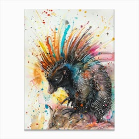 Porcupine Colourful Watercolour 2 Canvas Print
