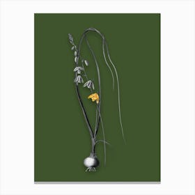 Vintage Albuca Black and White Gold Leaf Floral Art on Olive Green Canvas Print