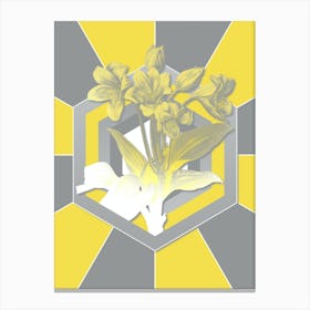 Vintage Crinum Giganteum Botanical Geometric Art in Yellow and Gray n.047 Canvas Print