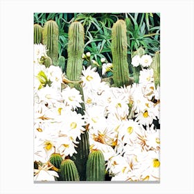Cactus And Bloom Canvas Print