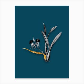 Vintage Clamshell Orchid Black and White Gold Leaf Floral Art on Teal Blue n.0119 Canvas Print