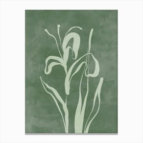 Irises Canvas Print