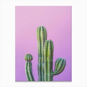 Cactus On Purple Background Canvas Print