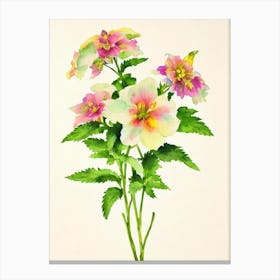 Delphinium Vintage Flowers Flower Canvas Print