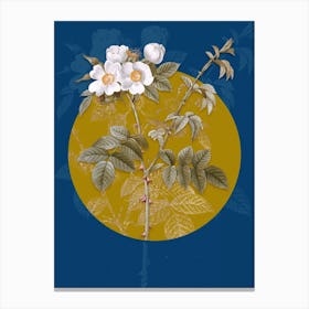 Vintage Botanical White Flowered Rose on Circle Yellow on Blue Canvas Print