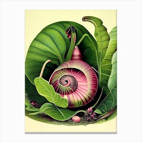 Japanese Trapdoor Snail  Botanical Canvas Print
