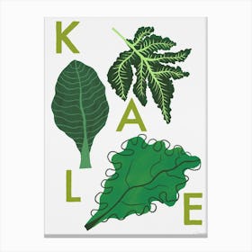 Kale Canvas Print