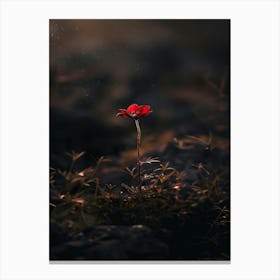 Single Red Flower 12 Canvas Print