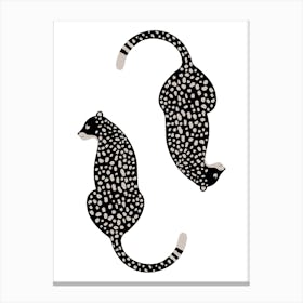 Cheetahs Canvas Print