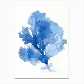 Blue Seaweed Canvas Print Canvas Print