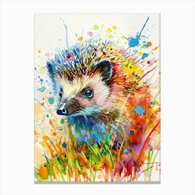 Hedgehog Colourful Watercolour 1 Canvas Print