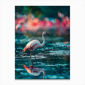 Flamingo In Water Canvas Print