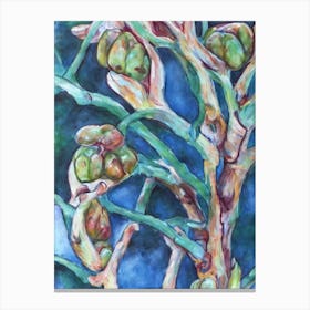 Cherimoya 2 Classic Fruit Canvas Print
