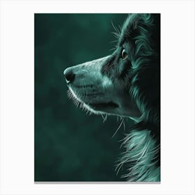 Collie Dog Portrait Canvas Print