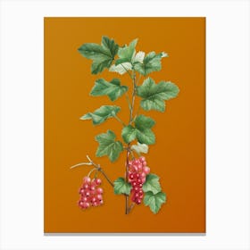 Vintage Redcurrant Plant Botanical on Sunset Orange n.0272 Canvas Print