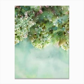 Acropora Suharsonoi Vi Storybook Watercolour Canvas Print