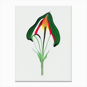 Jack In The Pulpit Floral Minimal Line Drawing 2 Flower Canvas Print