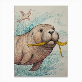 Walrus 12 Canvas Print