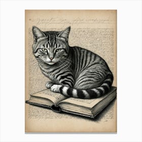 Cat On Book Canvas Print