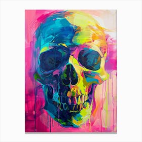 Colorful Skull Canvas Print