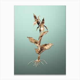 Gold Botanical Lady's Slipper Orchid on Mint Green Canvas Print