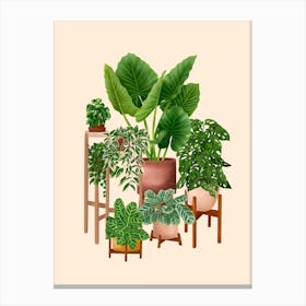 Indoor Plants 2 Canvas Print