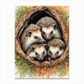 Hedgehogs In The Nest Canvas Print
