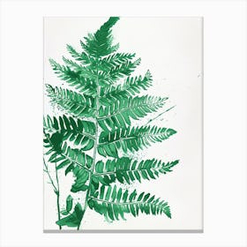 Green Ink Painting Of A Rock Cap Fern 2 Canvas Print