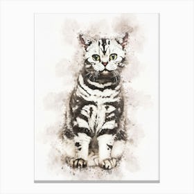 British Shorthair Cat Canvas Print
