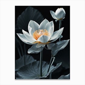 Lotus Flower 10 Canvas Print