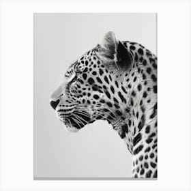 Leopard Head Portrait 1 Canvas Print