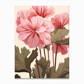 Floral Illustration Geranium 4 Canvas Print