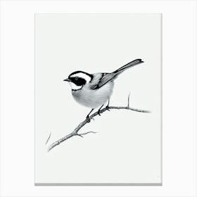 Carolina Chickadee B&W Pencil Drawing 1 Bird Canvas Print