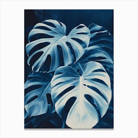 Monstera II Canvas Print