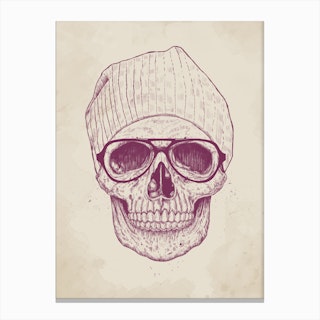 Cool Skull Canvas Print
