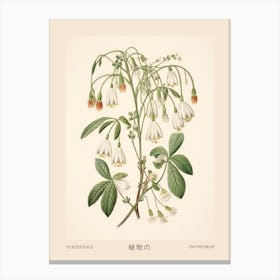 Yukiyanagi Snowdrop 1 Vintage Japanese Botanical Poster Canvas Print
