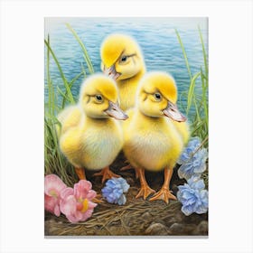 Ducks By The River Pencil Illustration 1 Canvas Print