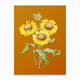 Vintage Blanket Flowers Botanical on Sunset Orange n.0172 Canvas Print