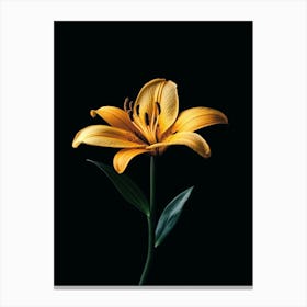 Yellow Lily Stampe su tela