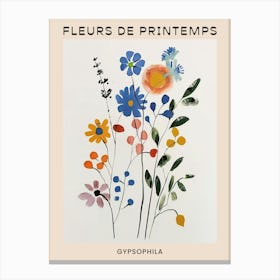 Spring Floral French Poster  Gypsophila 7 Canvas Print