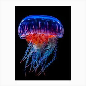 Jellyfish Canvas Print