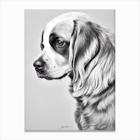 Sussex Spaniel B&W Pencil dog Canvas Print