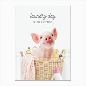 Baby Pig Laundry Day With Friends Canvas Print