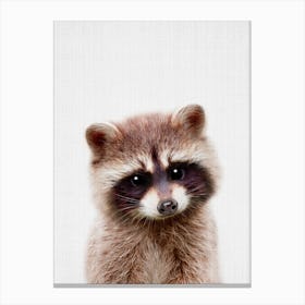 Peekaboo Raccoon Canvas Print
