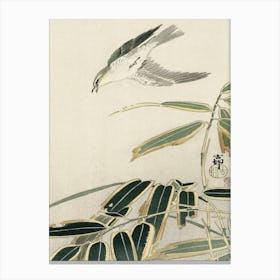 Wheatear In Bamboo (1900 1910), Ohara Koson Canvas Print